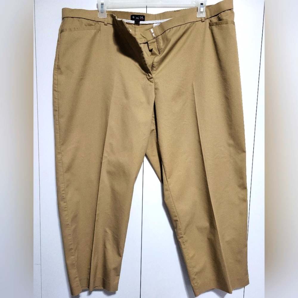 Women's Dress Pants Slacks Tan Size 22W